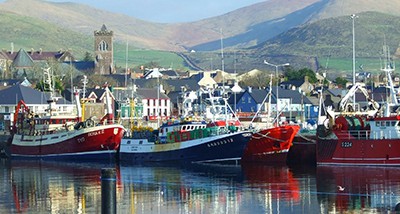 Adventure tours: Dingle Harbour.