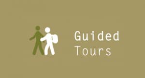 guided Hiking tours Dingle Peninsula