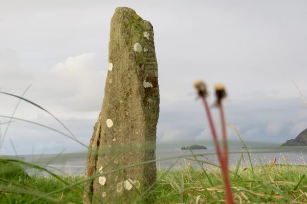 Ogham Stone at Ballinrannig, exposed with seven others during a storm at the end of the 17th century.