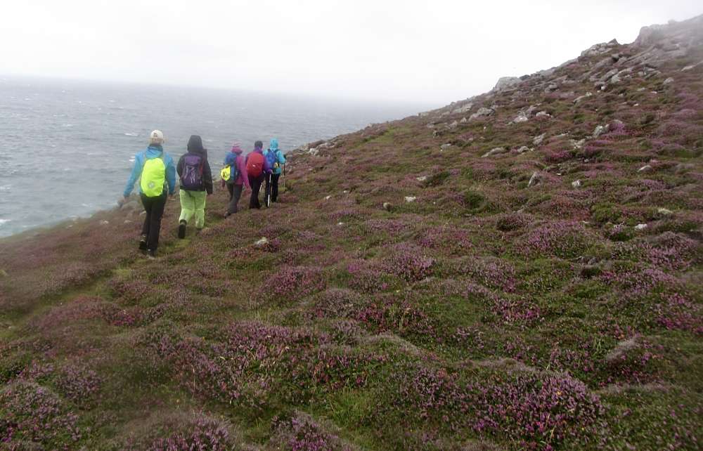 Go to the best places on a Wild Atlantic Way guided walk.
