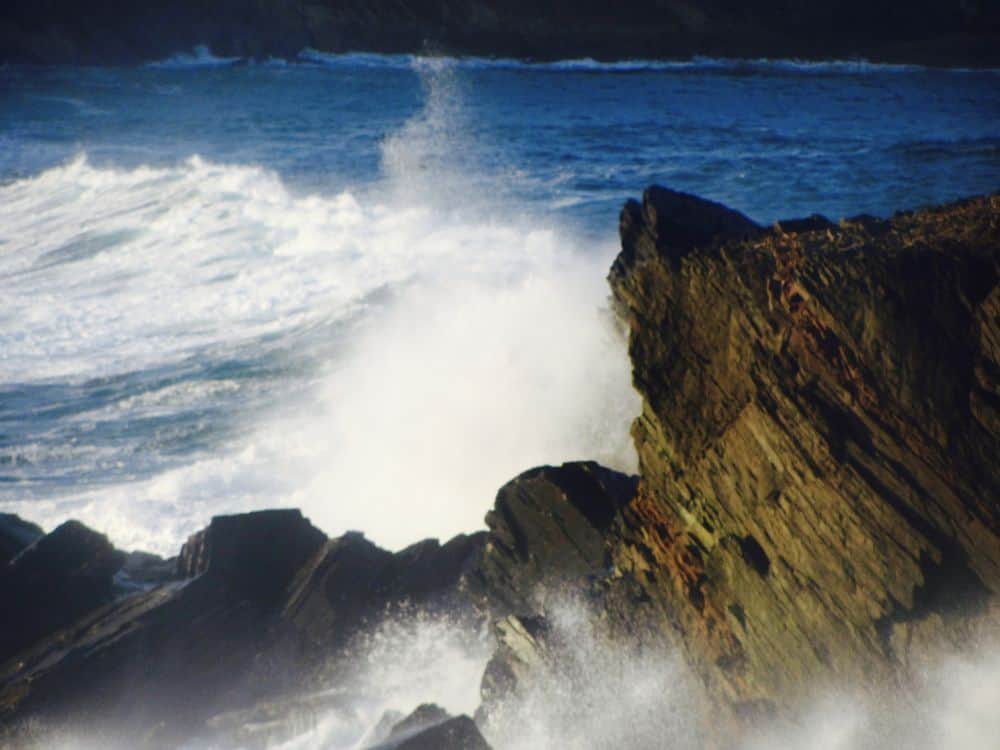 Discover the Magic of the Ocean on a Wild Atlantic Way guided walk.