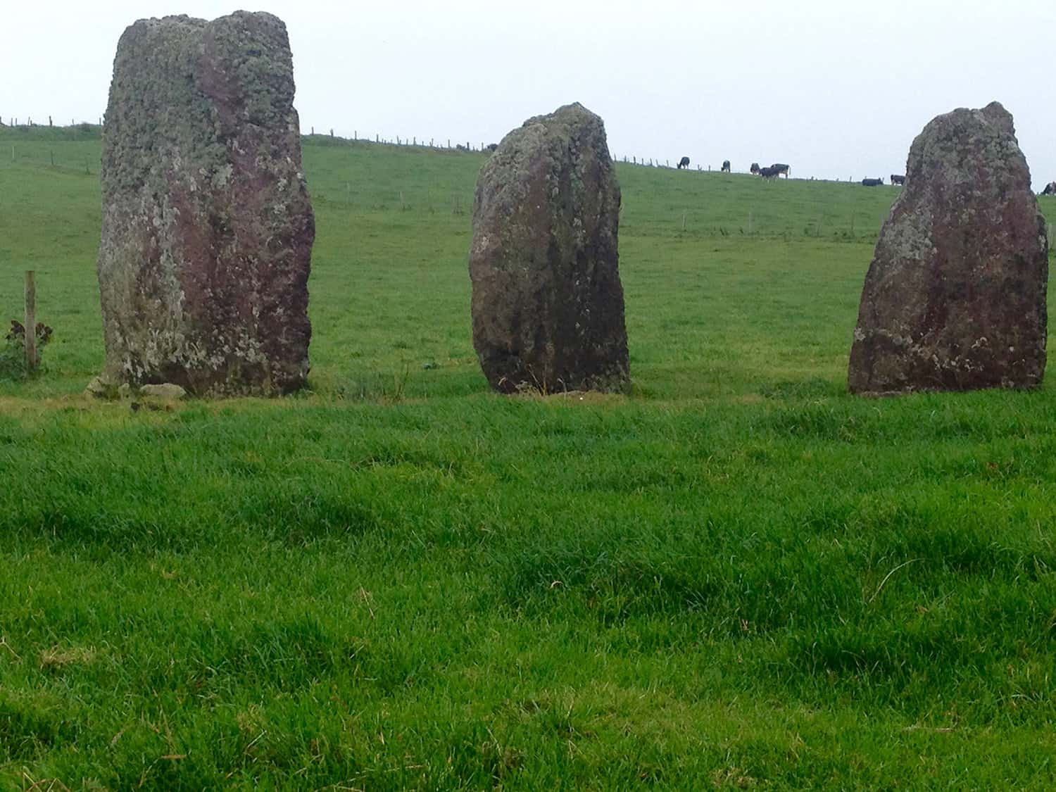 The Ardmore stone alignment in Lispole, is connected with the setting sun of the winter solstice.