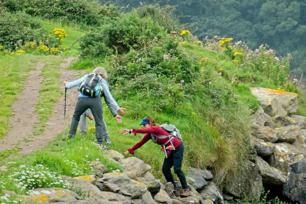 Celtic Nature Guided Walks